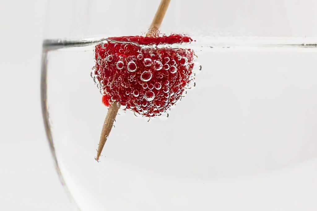 cocktail, drink, glass, alcohol, beverage, nature, bar, liquor, ice, cold, vodka, refreshment, cool, summer, refreshing, berry, soda water, bubble, raspberry